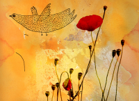 /album/collage/vallmo-web-png/