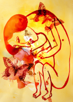 /album/collage/butter-fly-lady-png/